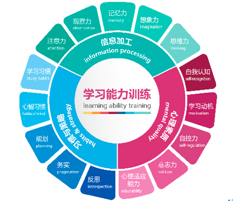 愛智康推學習能力訓練課程，入局青少腦智開發領域